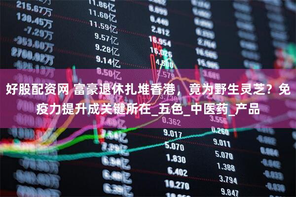 好股配资网 富豪退休扎堆香港，竟为野生灵芝？免疫力提升成关键所在_五色_中医药_产品